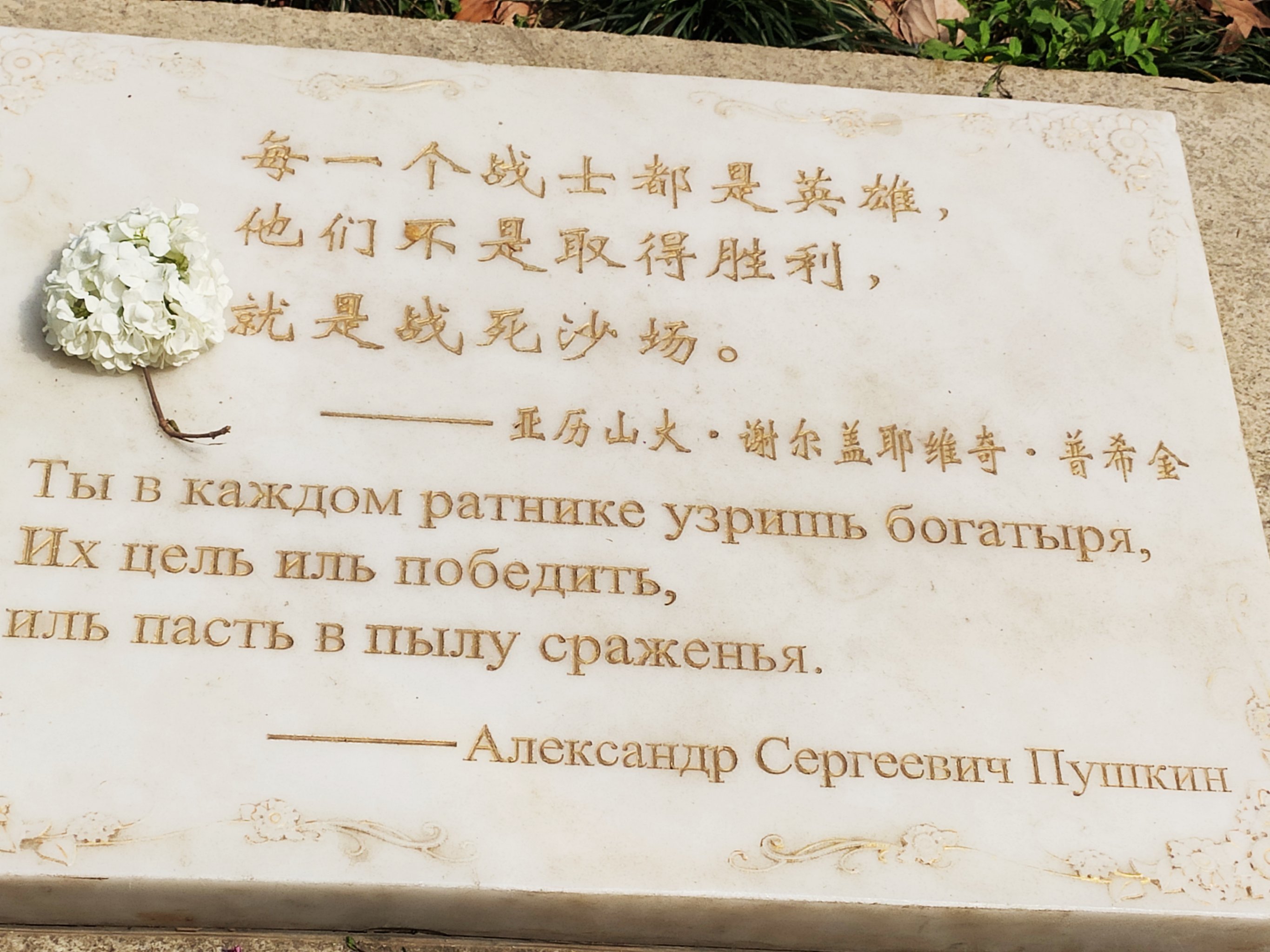 爱游戏体育-柏林联盟战平强敌，保持不败纪录  第1张